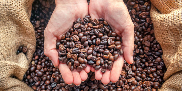 torrefaction-grains-de-cafe-espresso-monte-carlo- Torréfaction artisanale de grains de cafés Espresso Monte-Carlo
