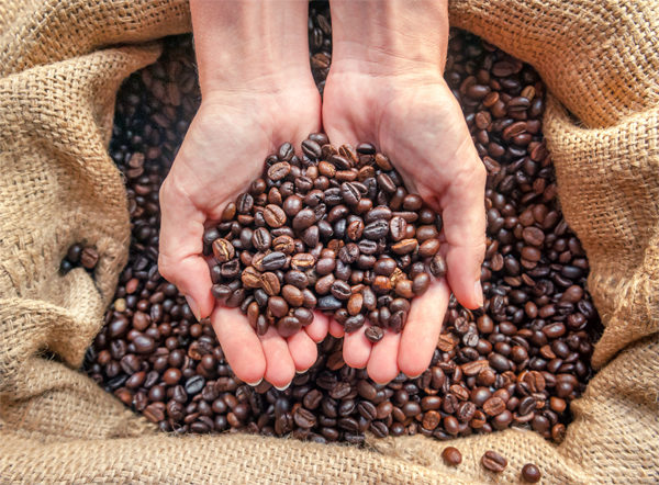 torrefaction-grains-de-cafe-espresso-monte-carlo- Torréfaction artisanale de grains de cafés Espresso Monte-Carlo